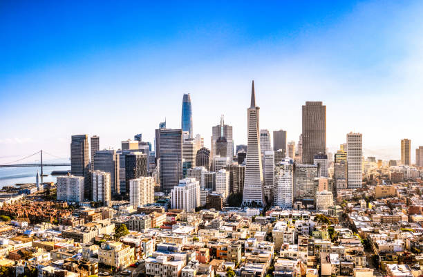 San Francisco Skyline During Daylight